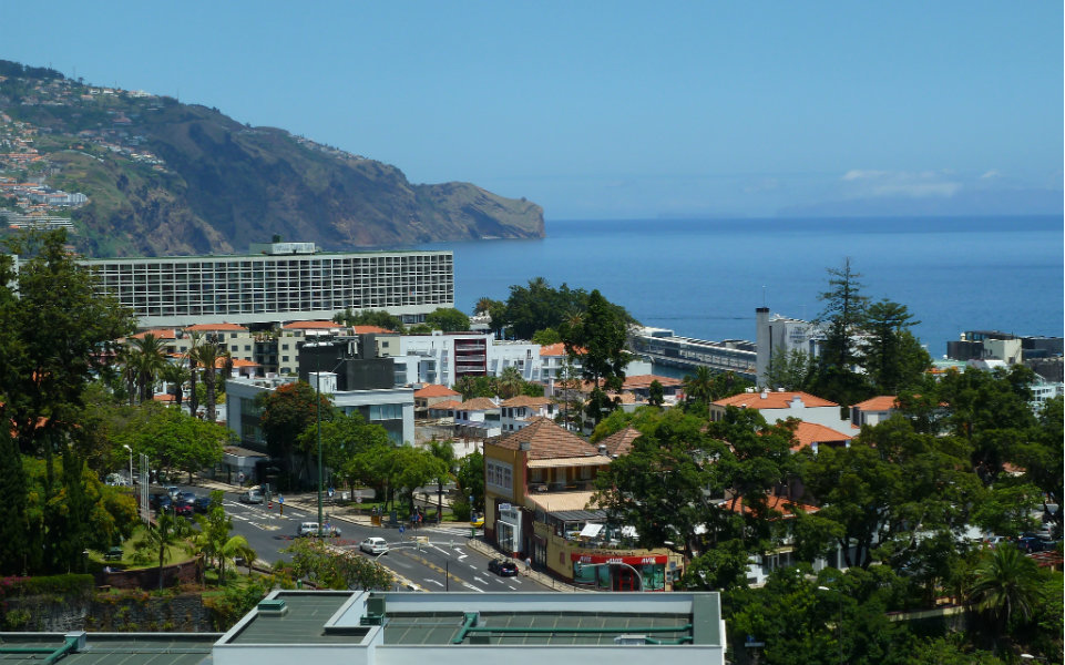 calligraphy greenhouse Referendum Madeira entrega 26 medalhas de mérito turístico – O Jornal Económico